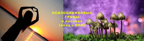кокс Абаза