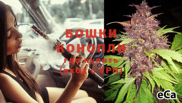 гидра Санкт-Петербург