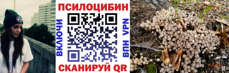 ссылка на мегу онион  купить   дарк нет телеграм  Псилоцибиновые грибы GOLDEN TEACHER  Новая Усмань 
